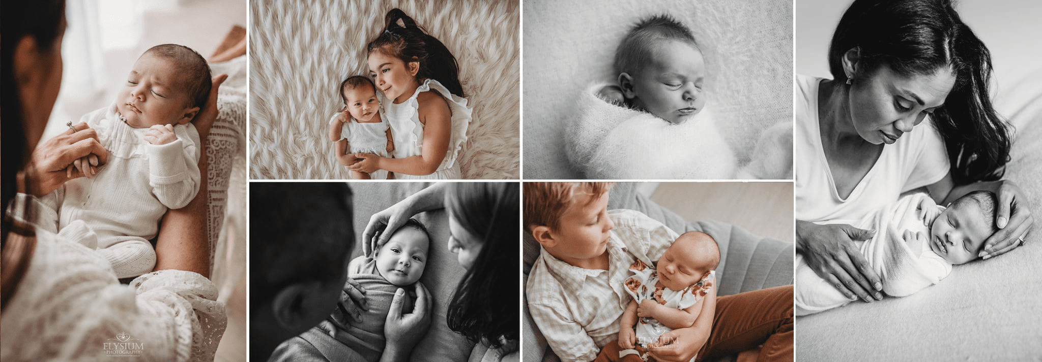 newborn photography sydney header